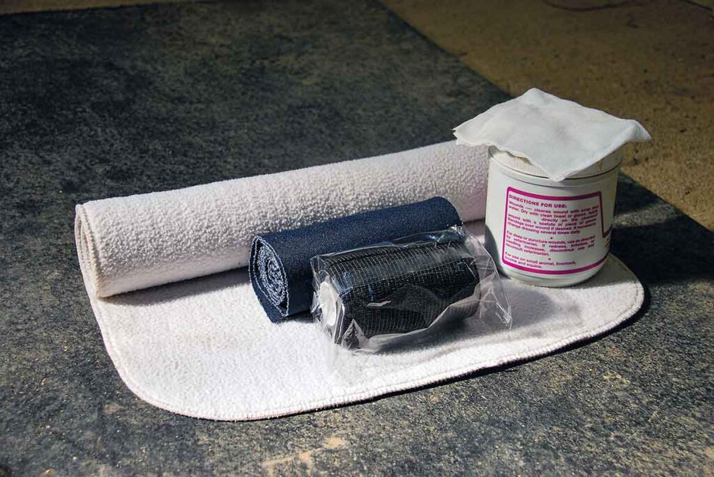 A collection of supplies for treating minor horse wounds