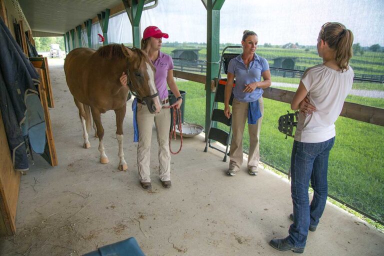 An equine veterinarian talks to a horse owner during an exam