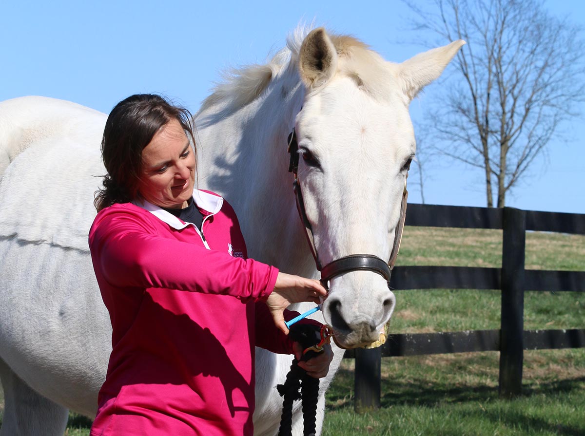A woman in a pink shirt deworming a gray horse