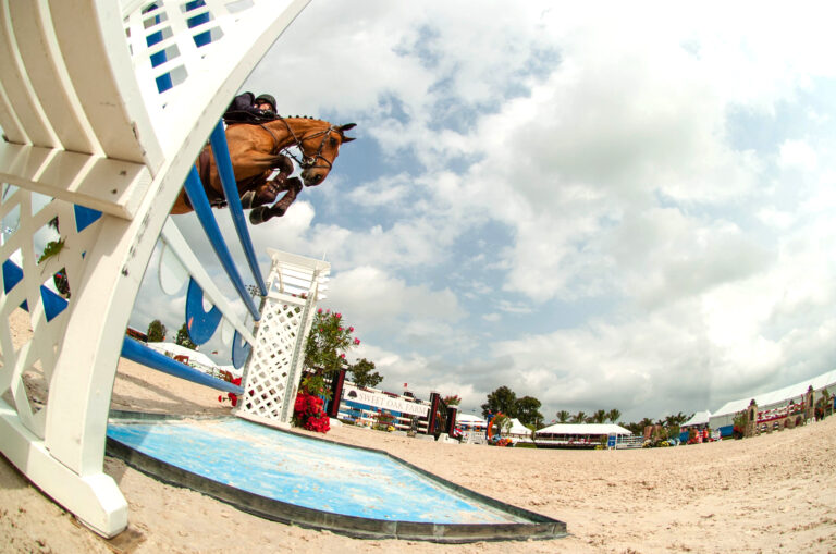 WEF-08-0306-C3C1-292_2