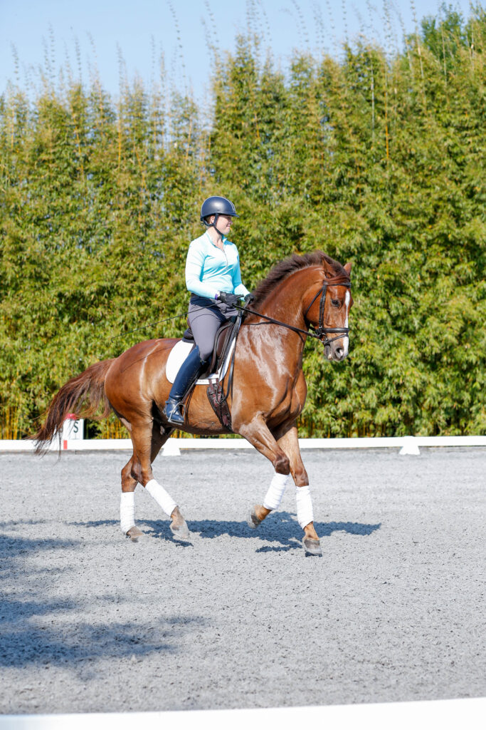 Flying Changes Renvers
