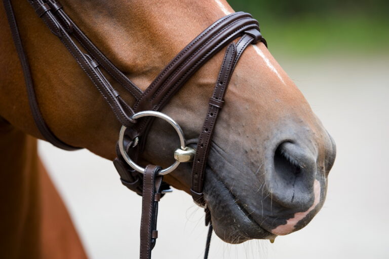 Jim Wofford Poor Fitting Tack
