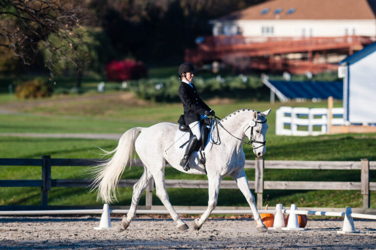 Sitting or Posting Trot