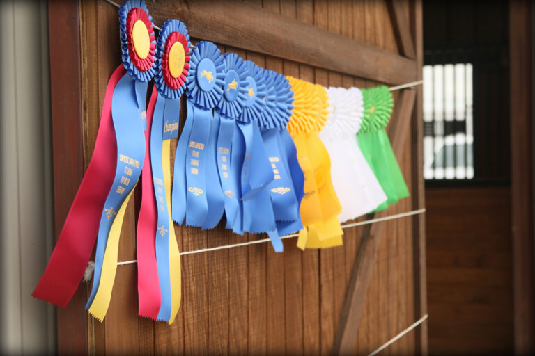 Ribbons