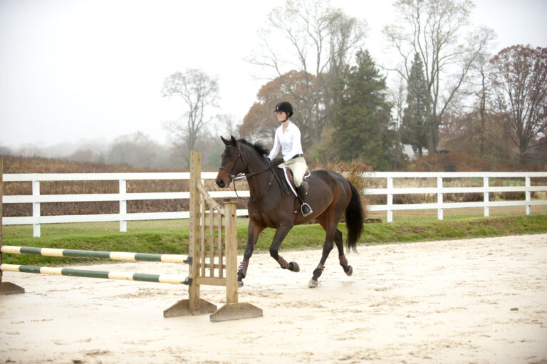 Trot Fences