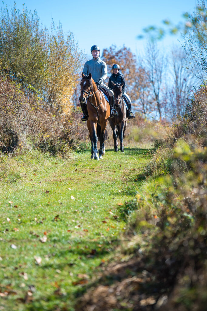 Peter Lutz, Show Preparation, Horse Show Prep