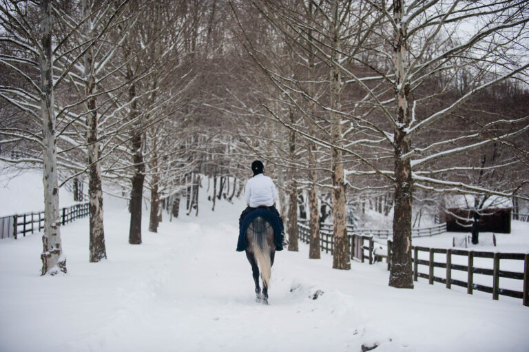 SnowWalk_2