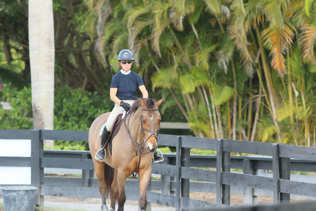 Straighten Your Horse for a More Powerful Jump