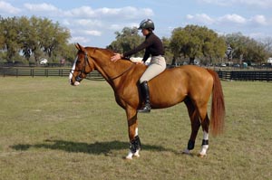 Callan-Solem-Hot-Horse