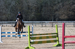 Photo by Amy Katherine Dragoo