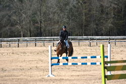 Photos by Amy Katherine Dragoo