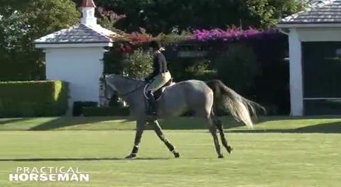 Video: Take the Stress Out of Flying Lead Changes promo image