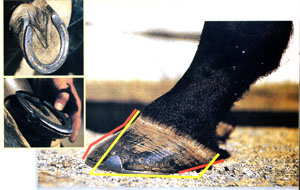 underslug heels, crushed heels