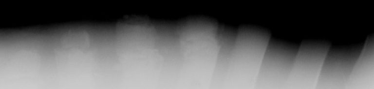 Up and Over: Stop Horse Rears and Backward Falls promo image