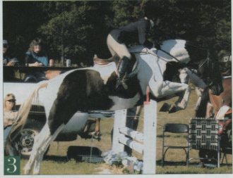 Jumping Clinic Classics April 2004