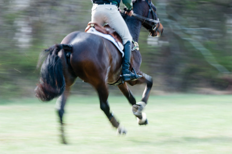Galloping Cross Country