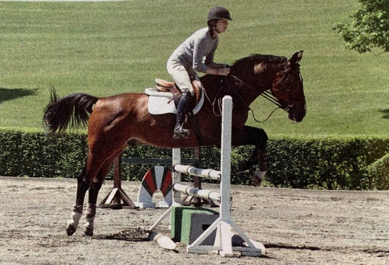 Peter Leone Exercise 2 2