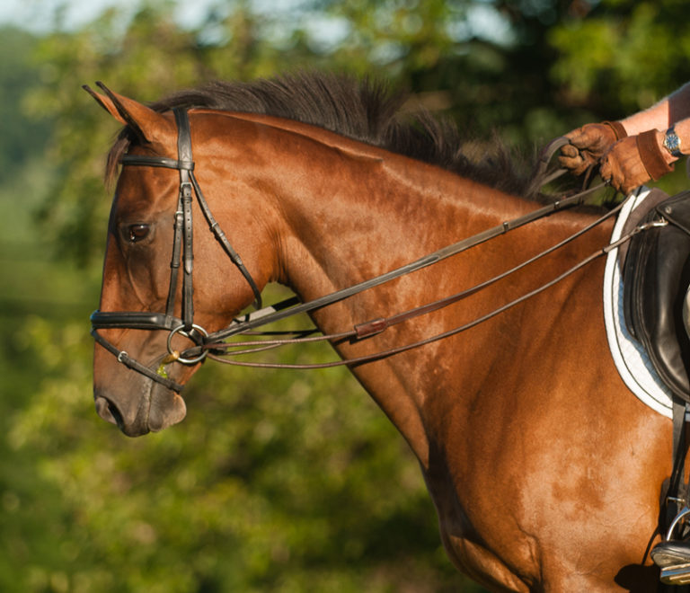 Draw Reins: A Good Teaching Tool Only IF ..