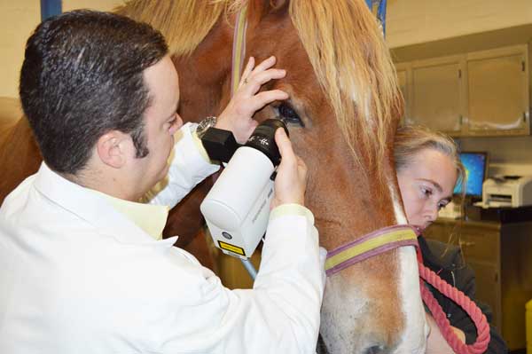 ph-confocal-microscope-dr_ledbetter-3