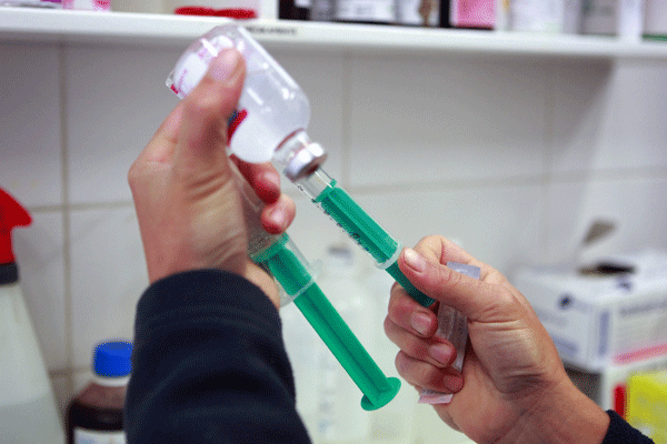 ph-compounding-drug-horses