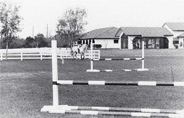 PRHP-140100-EXCERPT-04_diagonal1