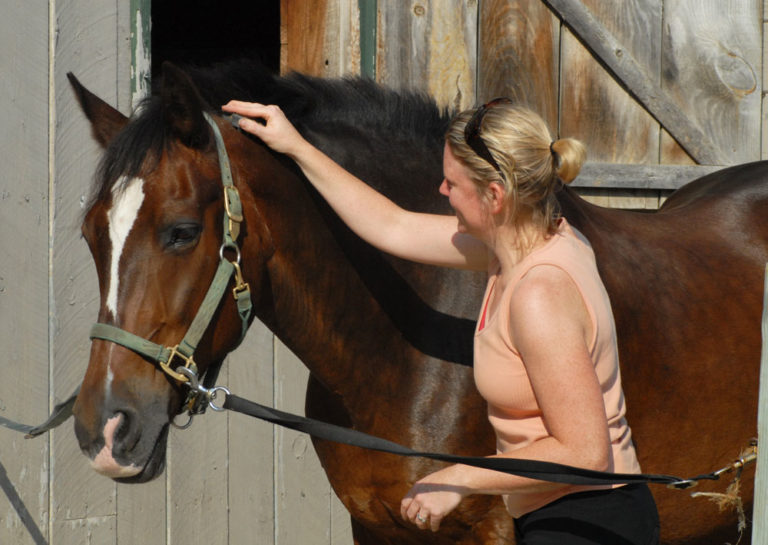 How Can I Make My Horse Comfortable on the Cross-ties? promo image