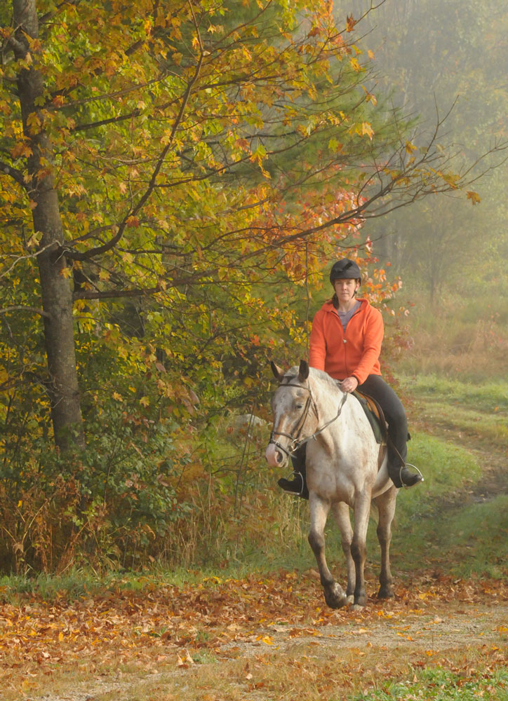 Preserve Your Horse's Fitness in the Off-Season promo image