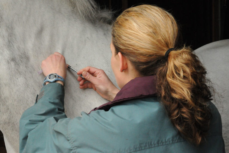 Effect of Equine Flu Shot promo image
