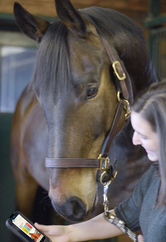 Horse Health on Your Smartphone promo image