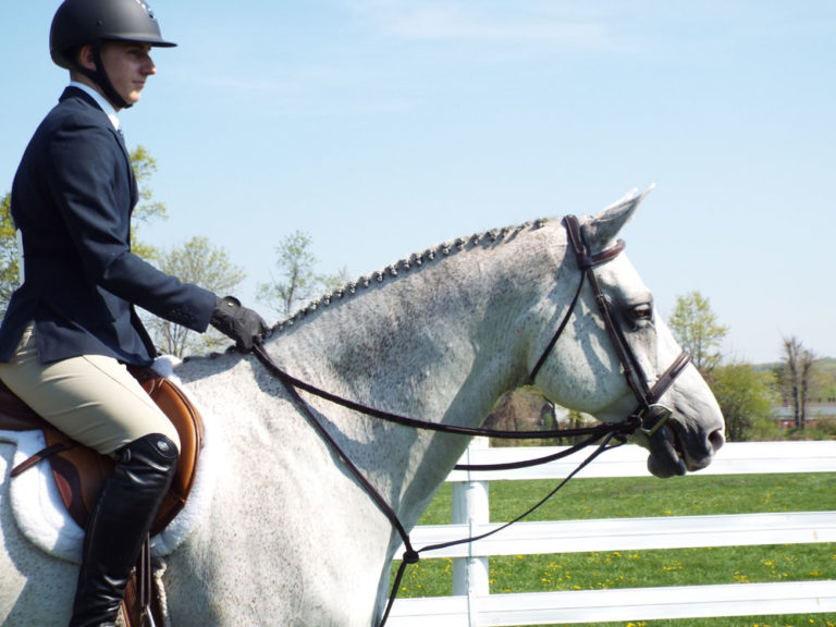 Making My Way In the Horse World promo image