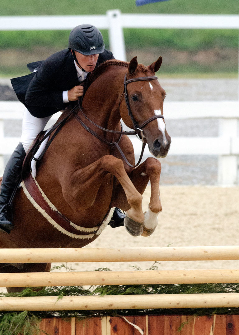 How much expression is acceptable in the hunter ring? promo image