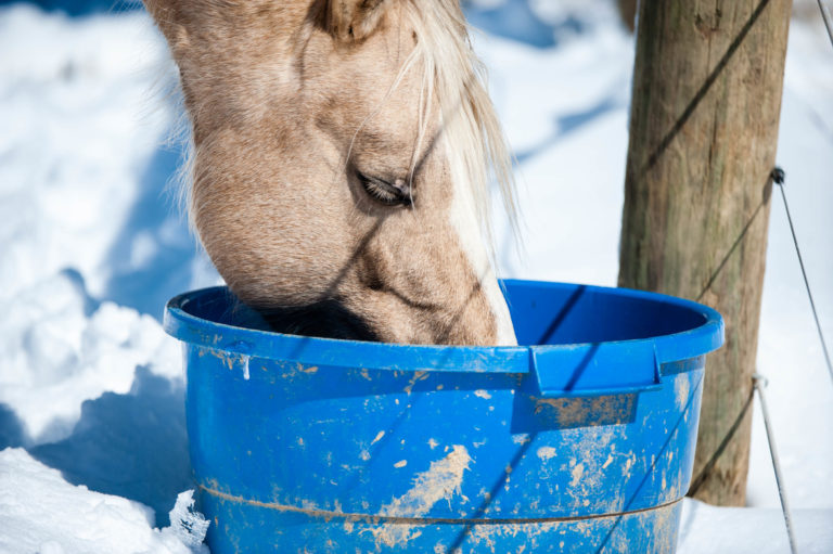 Drinking Water