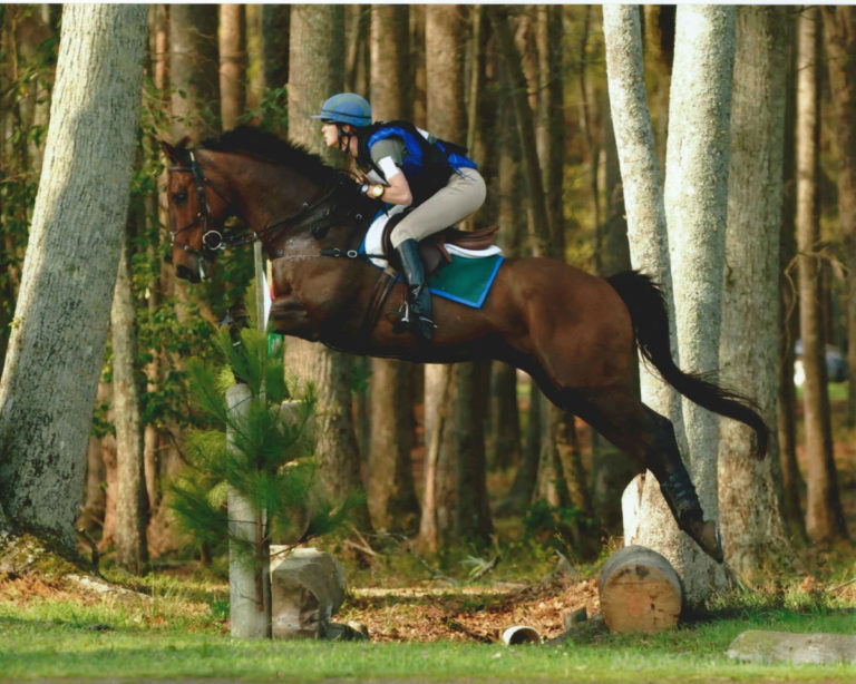 The Retirement Dilemma promo image