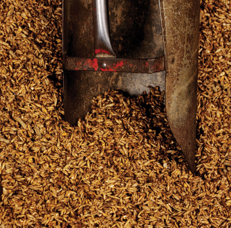 Fueling the Sporthorse promo image