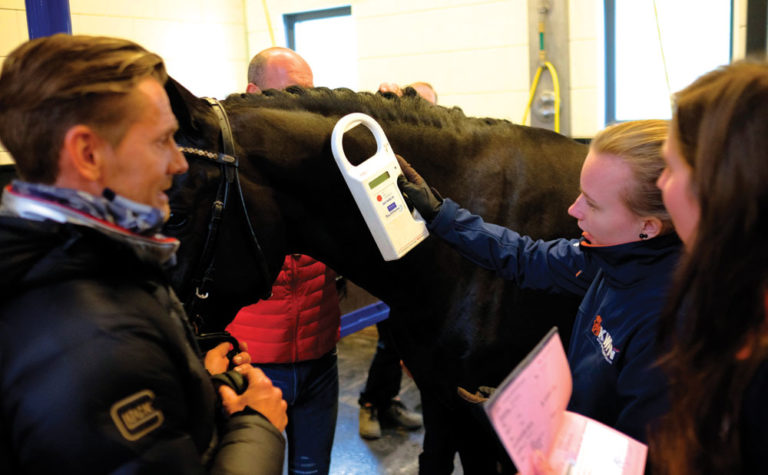 New Rule on the Horizon: Microchips for Hunters And Jumpers promo image