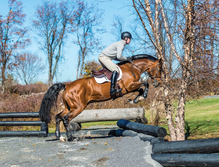 Peter Lutz: Four Weeks to Showtime promo image