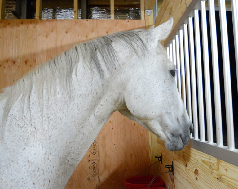 The Grain–Brain Connection promo image