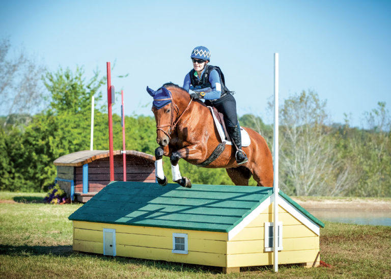 A Return to Eventing— On a Pura Raza Española promo image