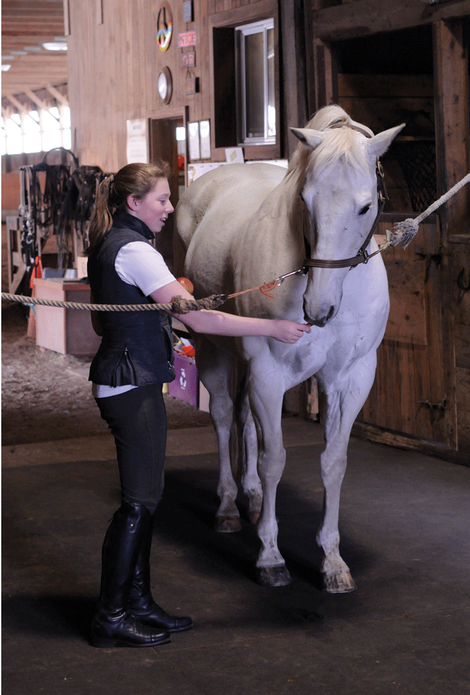 Why does my mare chew on the metal cross-ties after a treat? promo image
