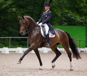 steffen-and-rosie-gps-rotterdam