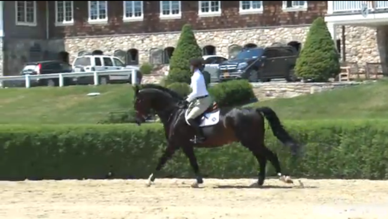 Training Tips With Frank Madden: Counter Canter promo image
