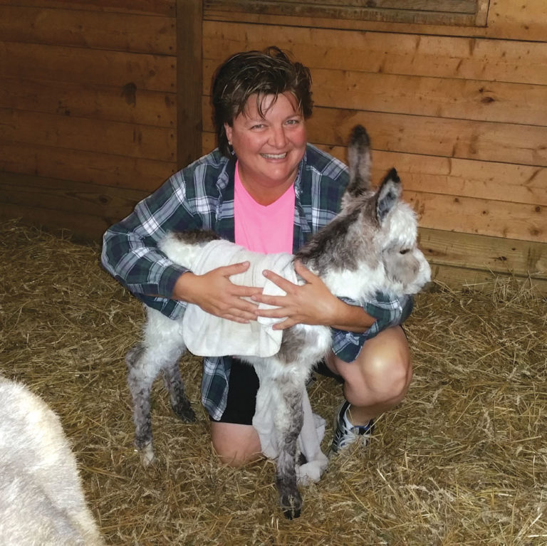 My Life: From the A-Circuit to Donkey Rescue promo image
