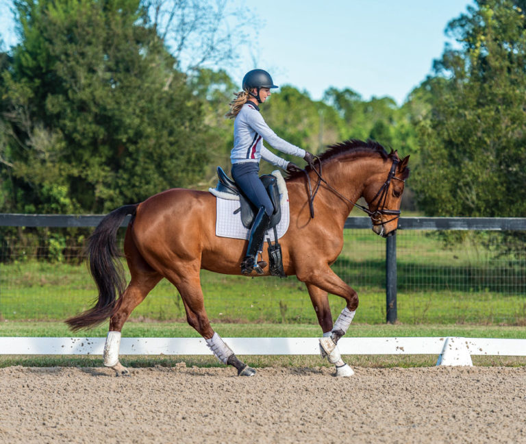 Laura Graves: How to Create a Self-Going Horse promo image