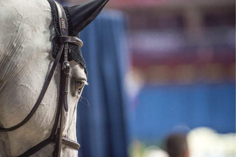 Behind-the-Scenes at Longines FEI World Cup™ Jumping Washington promo image