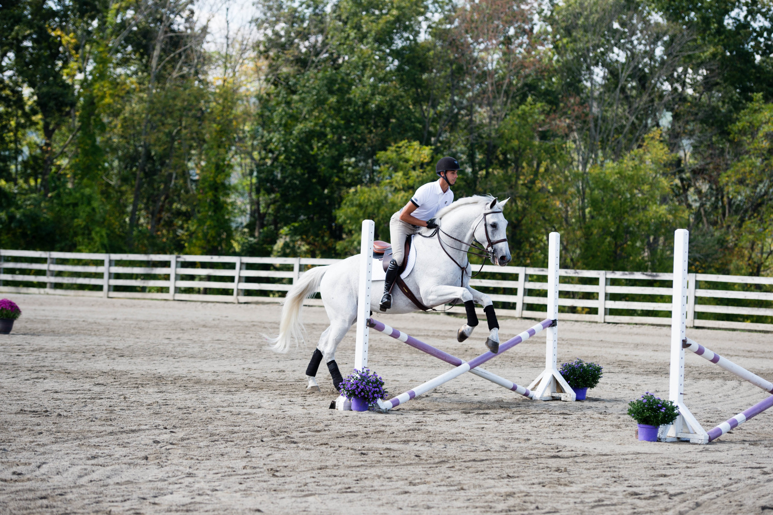 PHM-17-0926-AD3a-107