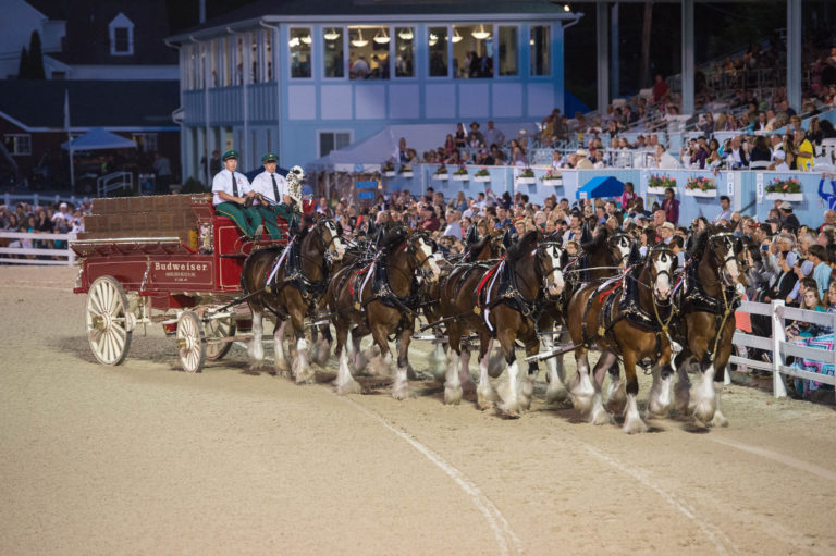 Devon Horse Show