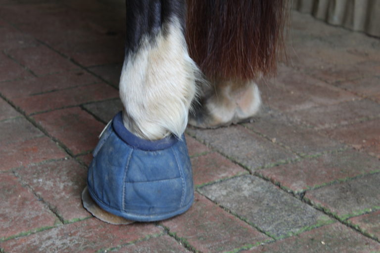 Bell Boot