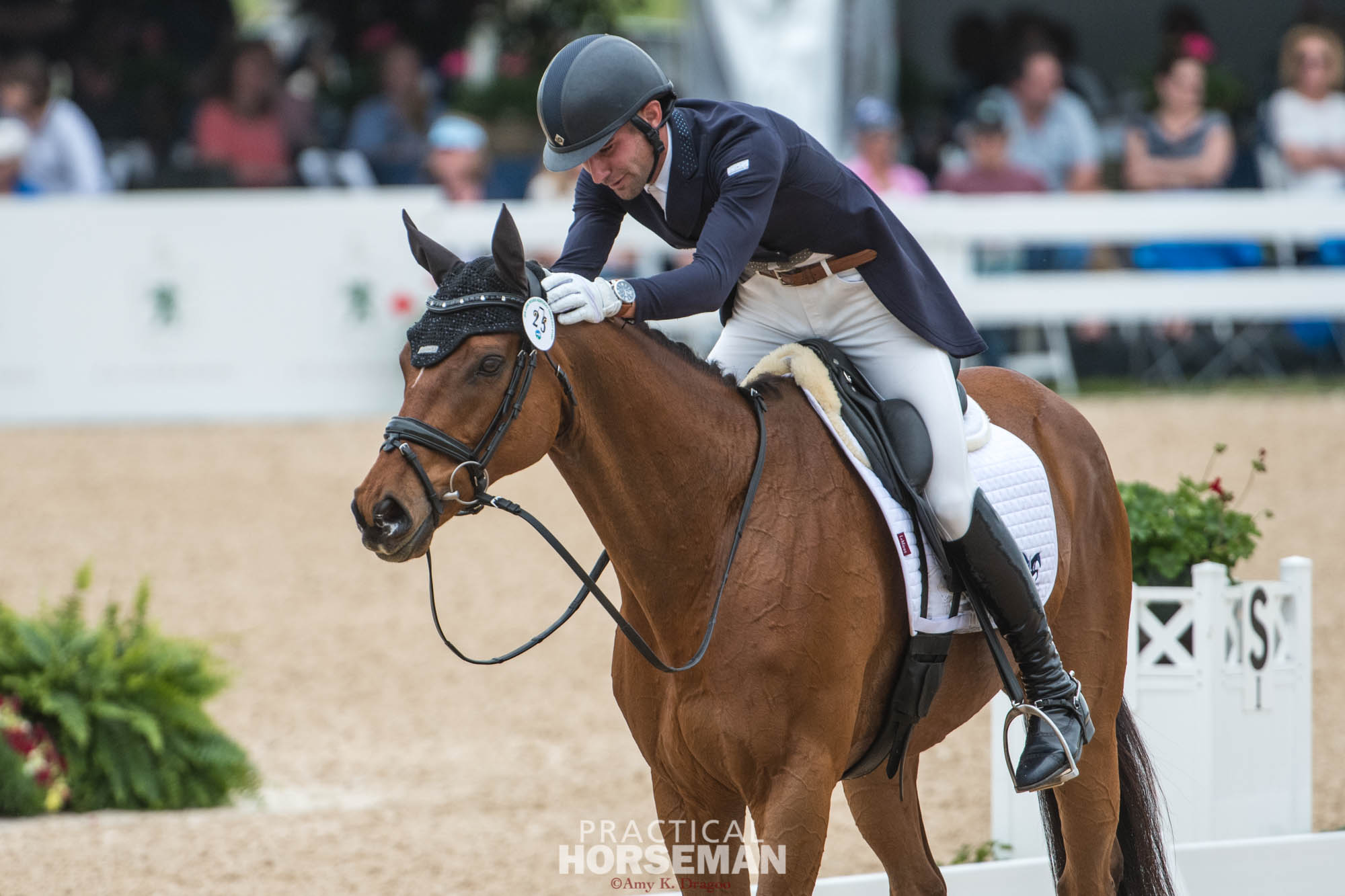 Felix Vogg Takes the Early Lead at Land Rover Kentucky Three-Day Event