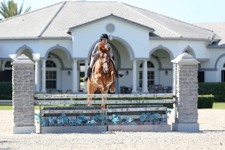 7SJS0098©susanjstickle