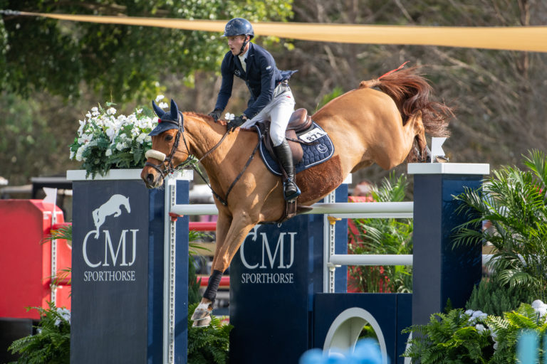 Andrew Welles Brindis Bogibo WEF-20-0131-AD5d-048